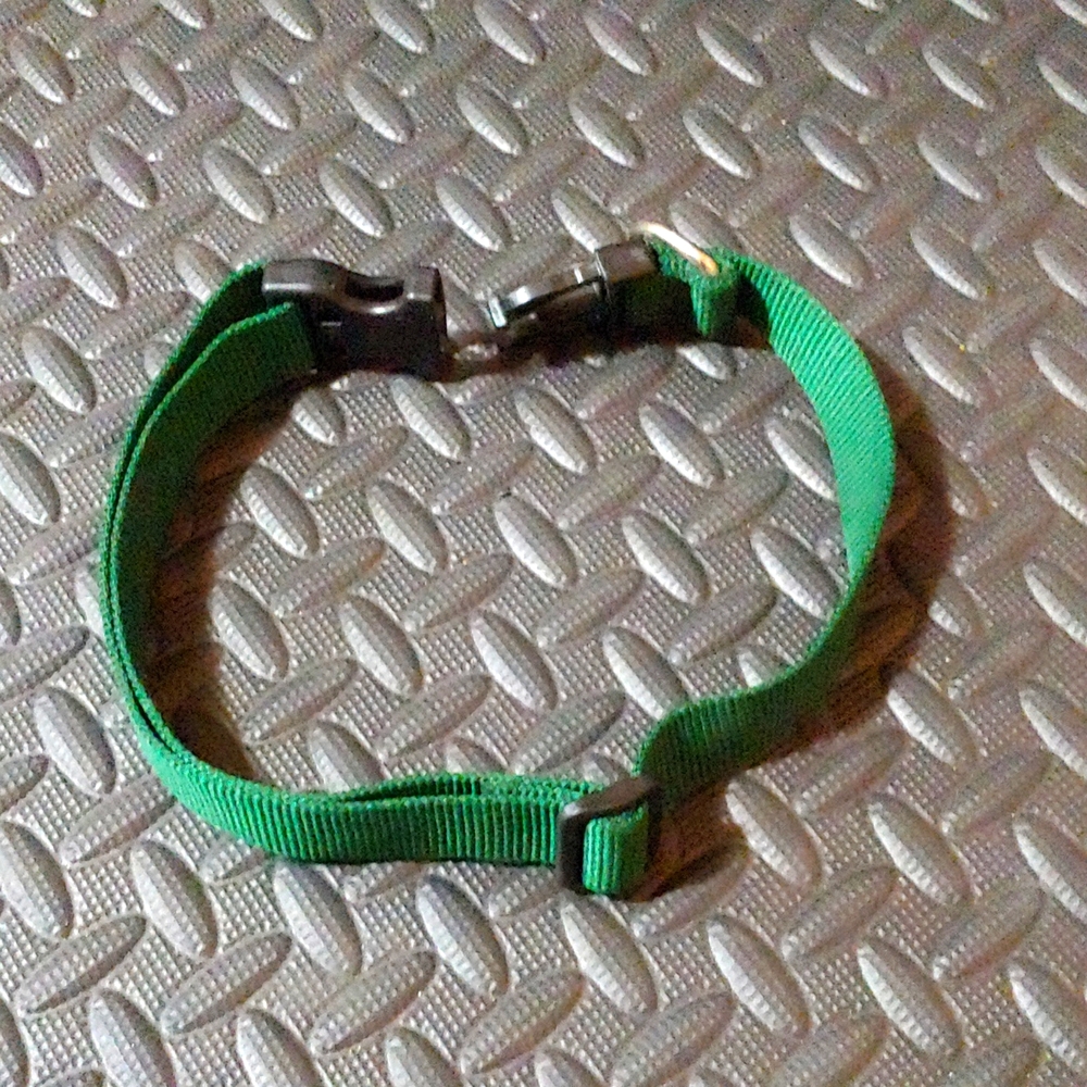 GREEN DOG COLLAR * PET COLLAR * 17-30" LONG * ADJUSTABLE